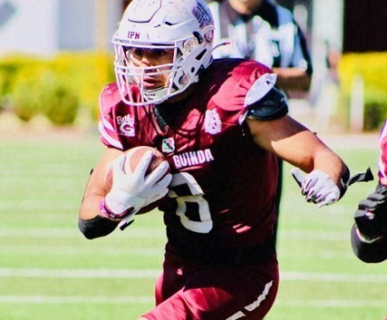 KRAULLES, BASTIÓN OFENSIVO DE BÚHOS